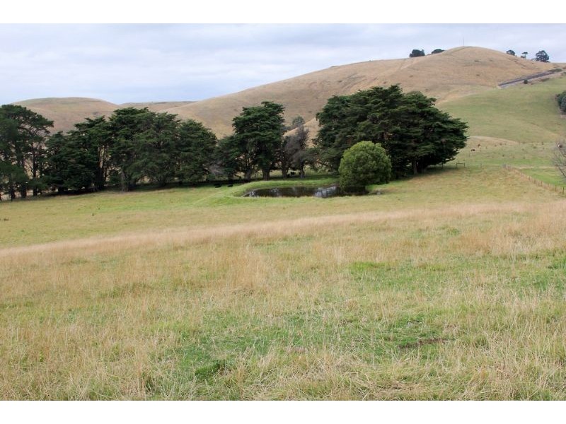 175 McNaughtons Road, Wild Dog Valley VIC 3953