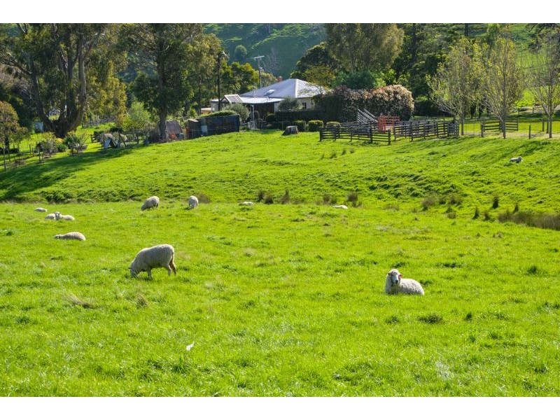 120 Mt Eccles Road, Mount Eccles VIC 3953