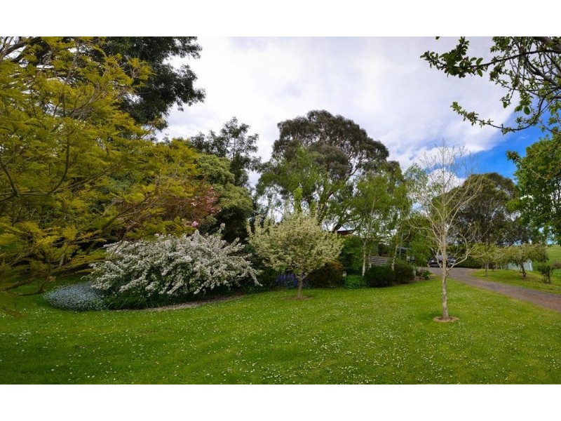 120 Mt Eccles Road, Mount Eccles VIC 3953