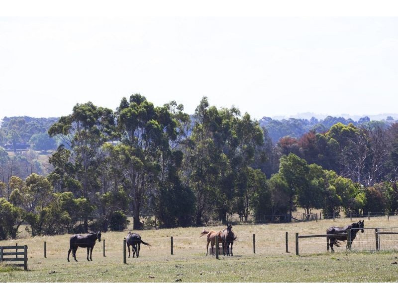 65 Timmins Estate Road, Leongatha VIC 3953