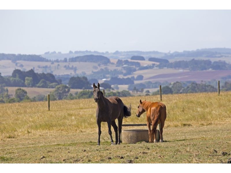 65 Timmins Estate Road, Leongatha VIC 3953