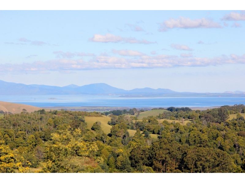 330 Nippards Track, Foster North VIC 3960