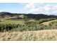 330 Nippards Track, Foster North VIC 3960