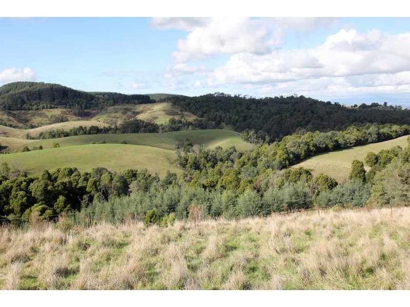 330 Nippards Track, Foster North VIC 3960