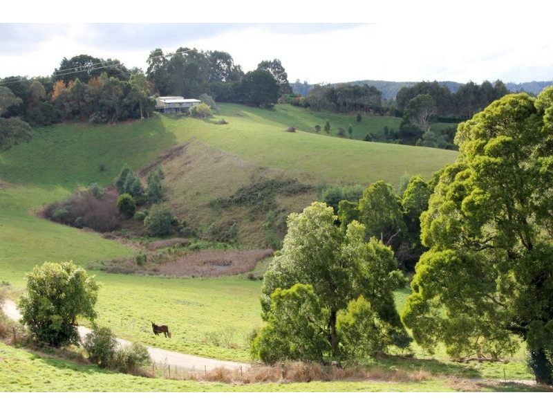 0 Cnr Turtons Creek & Dunbabins Road, Foster VIC 3960