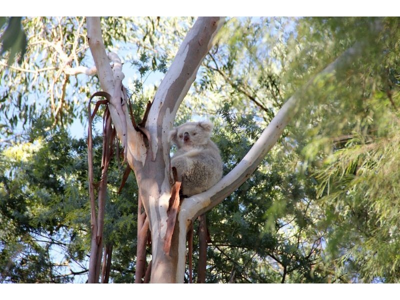 1-3 Griffin Street, Meeniyan VIC 3956