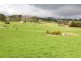 440 Dollar Road, Dumbalk VIC 3956