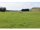 440 Dollar Road, Dumbalk VIC 3956