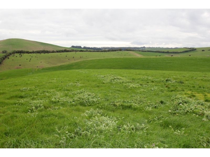 910 Falls Road, Fish Creek VIC 3959