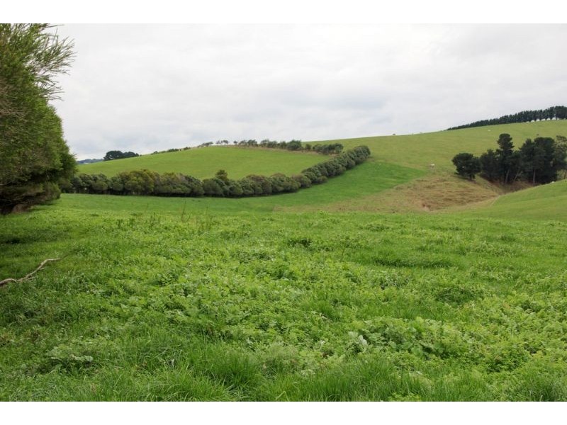 910 Falls Road, Fish Creek VIC 3959