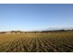 Lot 3 Carr Avenue, Leongatha VIC 3953