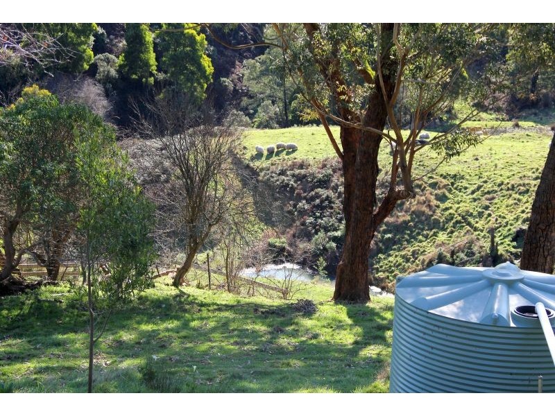 305 Nippards Track, Foster North VIC 3960