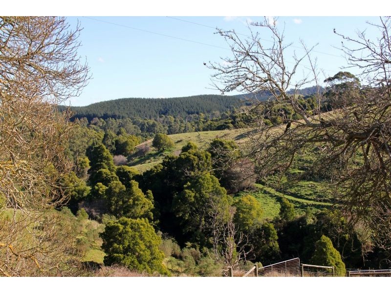 305 Nippards Track, Foster North VIC 3960