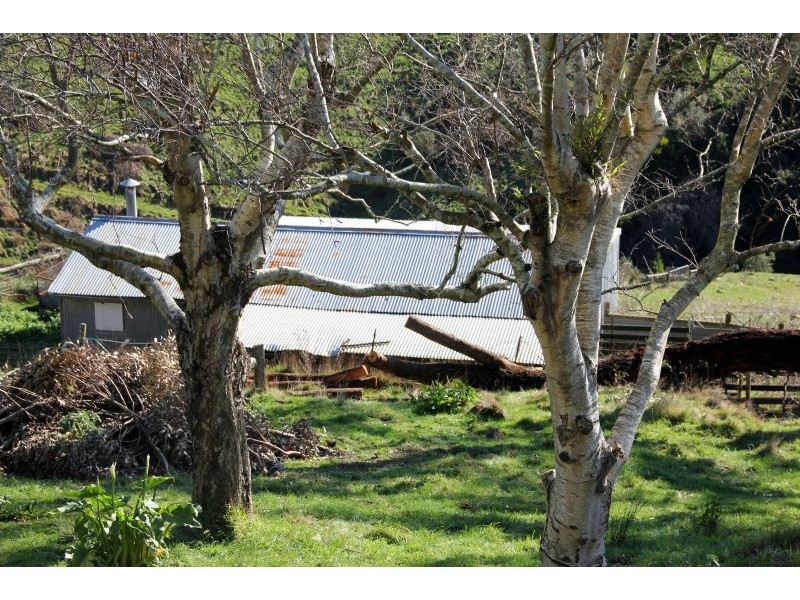 305 Nippards Track, Foster North VIC 3960