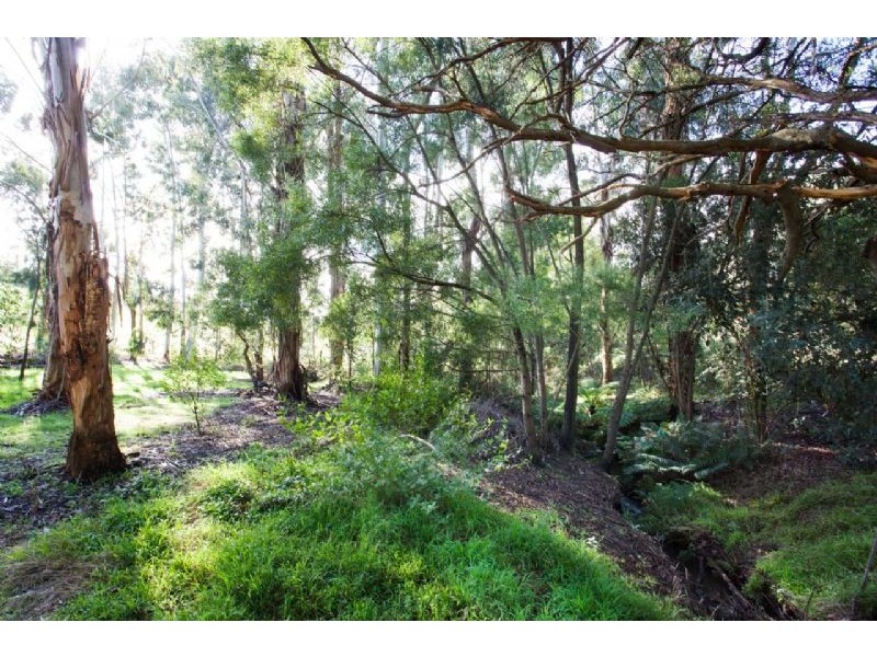 31 Lower Gordon Street, Korumburra VIC 3950