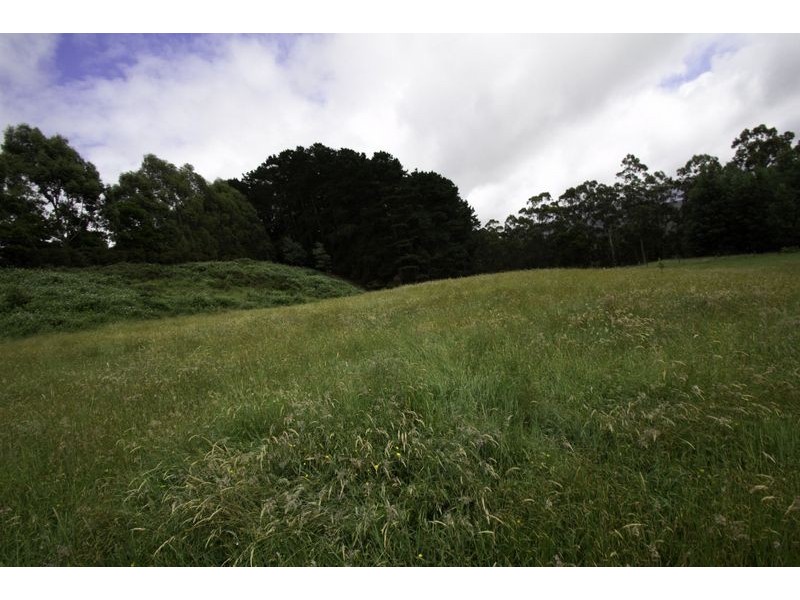 149 Griggs Road, Hallston VIC 3953