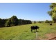 95 One Chain Road, Arawata VIC 3951
