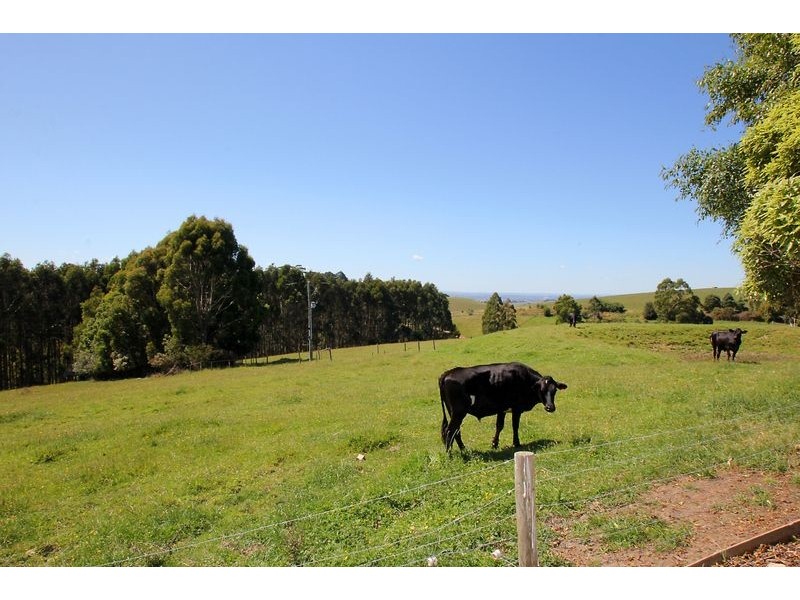 95 One Chain Road, Arawata VIC 3951