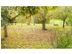 330 St Ellens Road, Mirboo North VIC 3871
