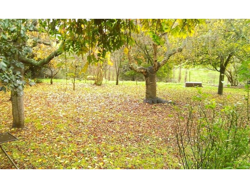 330 St Ellens Road, Mirboo North VIC 3871