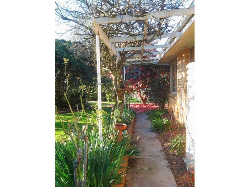 330 St Ellens Road, Mirboo North VIC 3871
