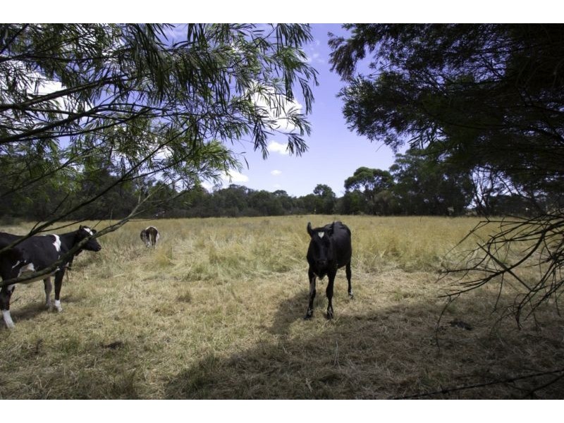 7595 Bass Highway, Leongatha South VIC 3953