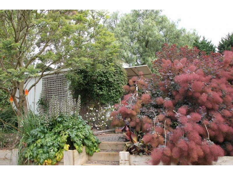 705 Canavans Road, Leongatha North VIC 3953