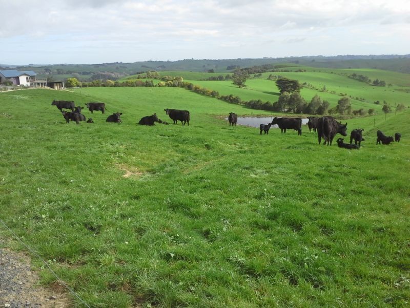 118 Kelly and Mosses, Korumburra VIC 3950