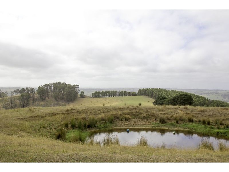 Lot2/500 Forresters Road, Hallston VIC 3953