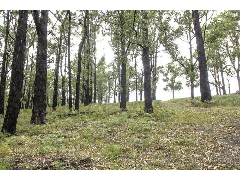 Lot1/500 Forresters Road, Hallston VIC 3953