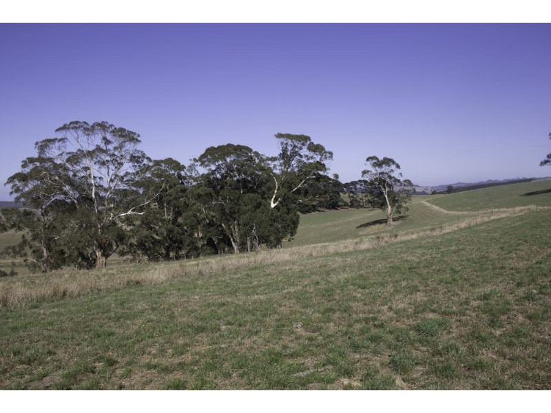 455 Mirboo-Yarragon Road, Allambee VIC 3823