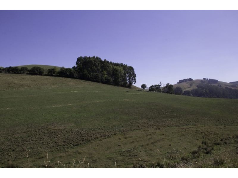 455 Mirboo-Yarragon Road, Allambee VIC 3823