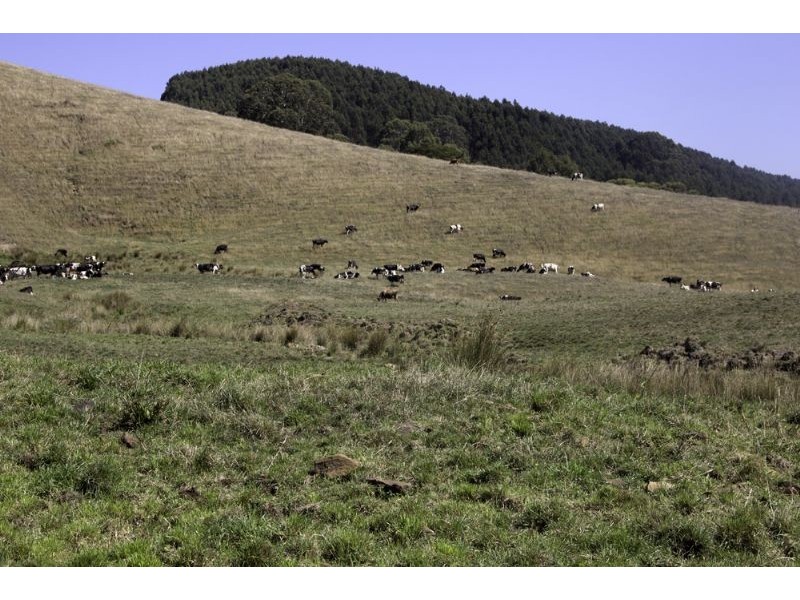 455 Mirboo-Yarragon Road, Allambee VIC 3823