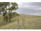 70 Bingham Road, Loch VIC 3945