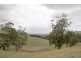 70 Bingham Road, Loch VIC 3945