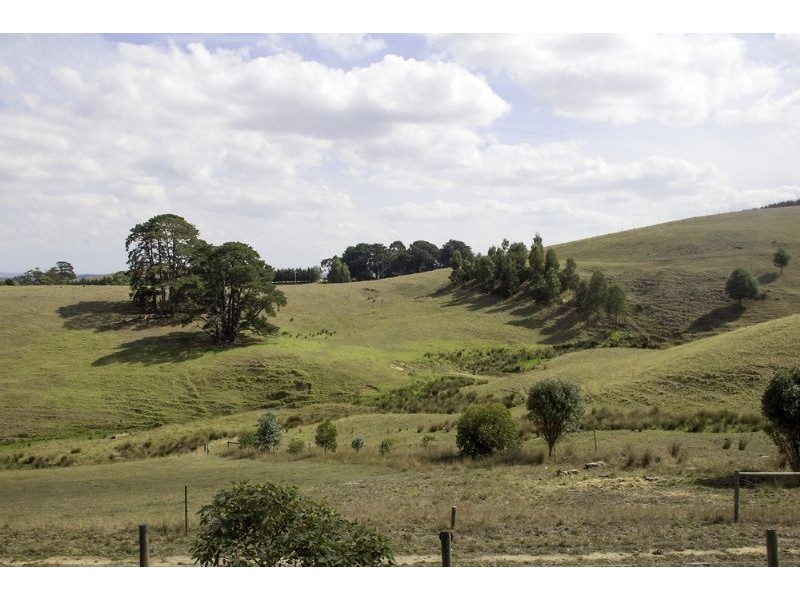 995 Canavans road, Mount Eccles VIC 3953
