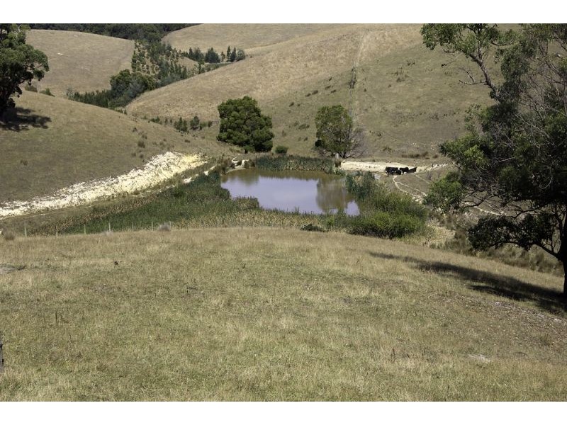 195 Savages Road, Fish Creek VIC 3959