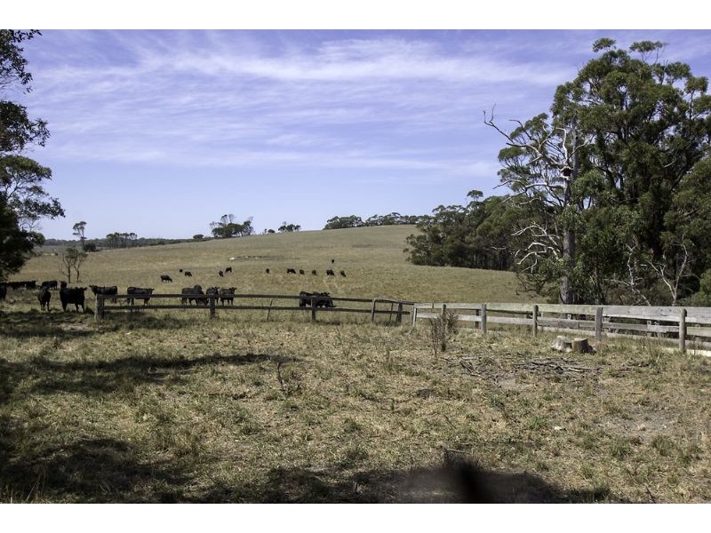 195 Savages Road, Fish Creek VIC 3959