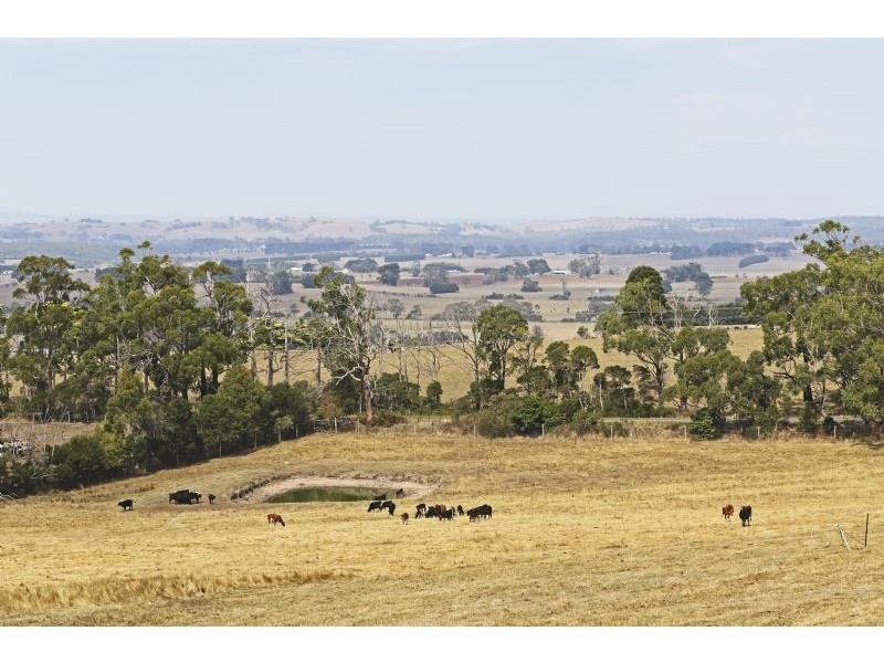 185 Sage & Logans Road, Leongatha VIC 3953