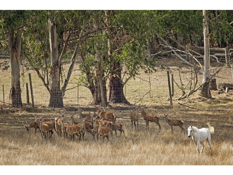 185 Sage & Logans Road, Leongatha VIC 3953