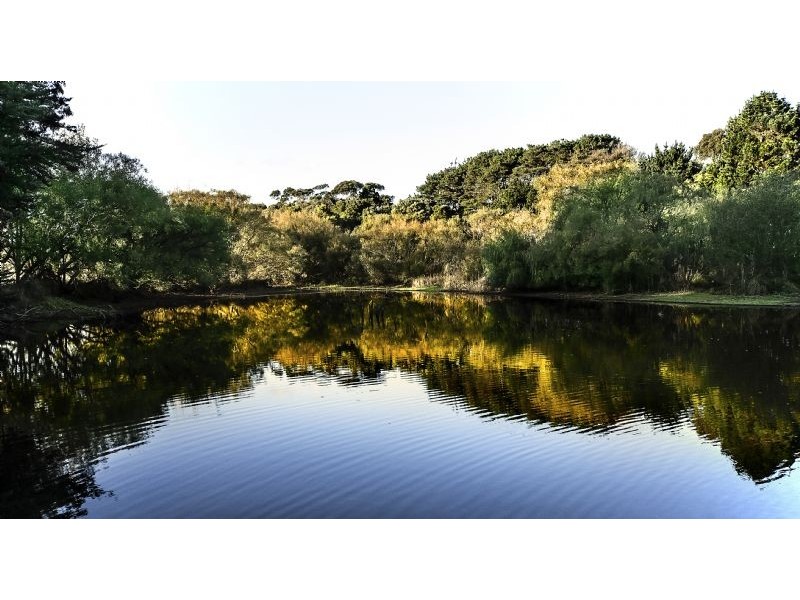 225 Bartons Road, Buffalo VIC 3958