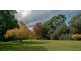 225 Bartons Road, Buffalo VIC 3958