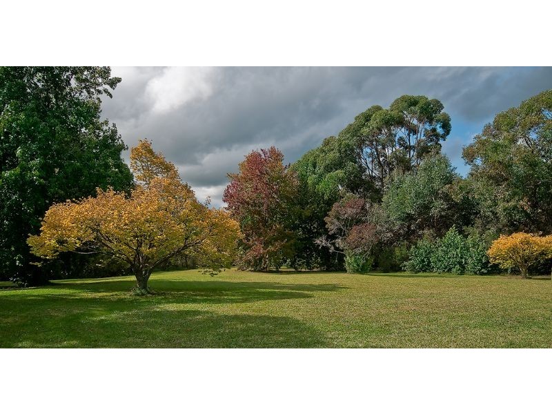 225 Bartons Road, Buffalo VIC 3958