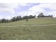 LOT 113 Carla Crescent, Korumburra VIC 3950