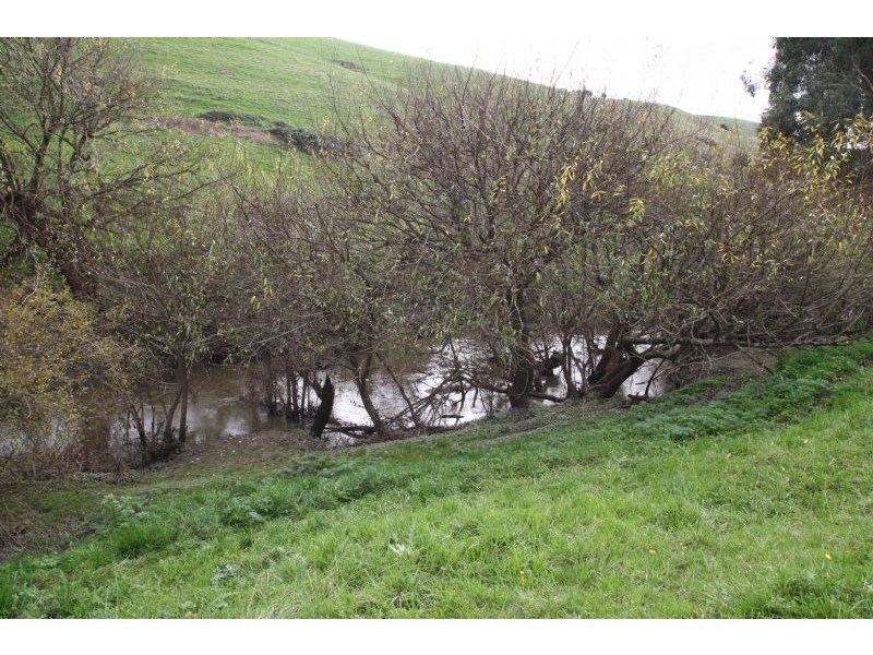 125 Farmers Road, Dumbalk VIC 3956