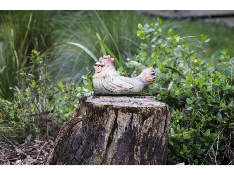 318 Sewells Road, Koonwarra VIC 3954