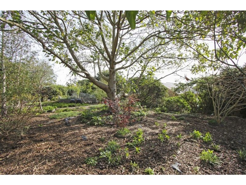 98 Parr Street, Leongatha VIC 3953