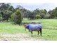 50 Kelly & Mosses Road, Korumburra VIC 3950