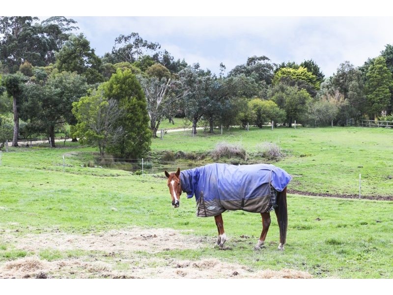 50 Kelly & Mosses Road, Korumburra VIC 3950