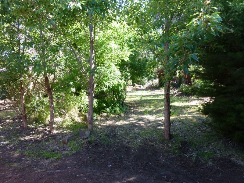 Tylden VIC 3444
